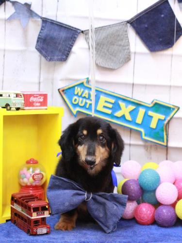 20230423マーブルくん